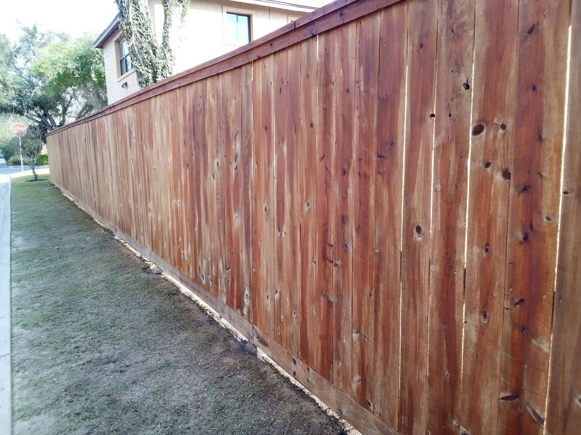 Fence Painting Service